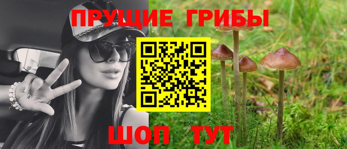 Псилоцибиновые грибы прущие грибы Выборг